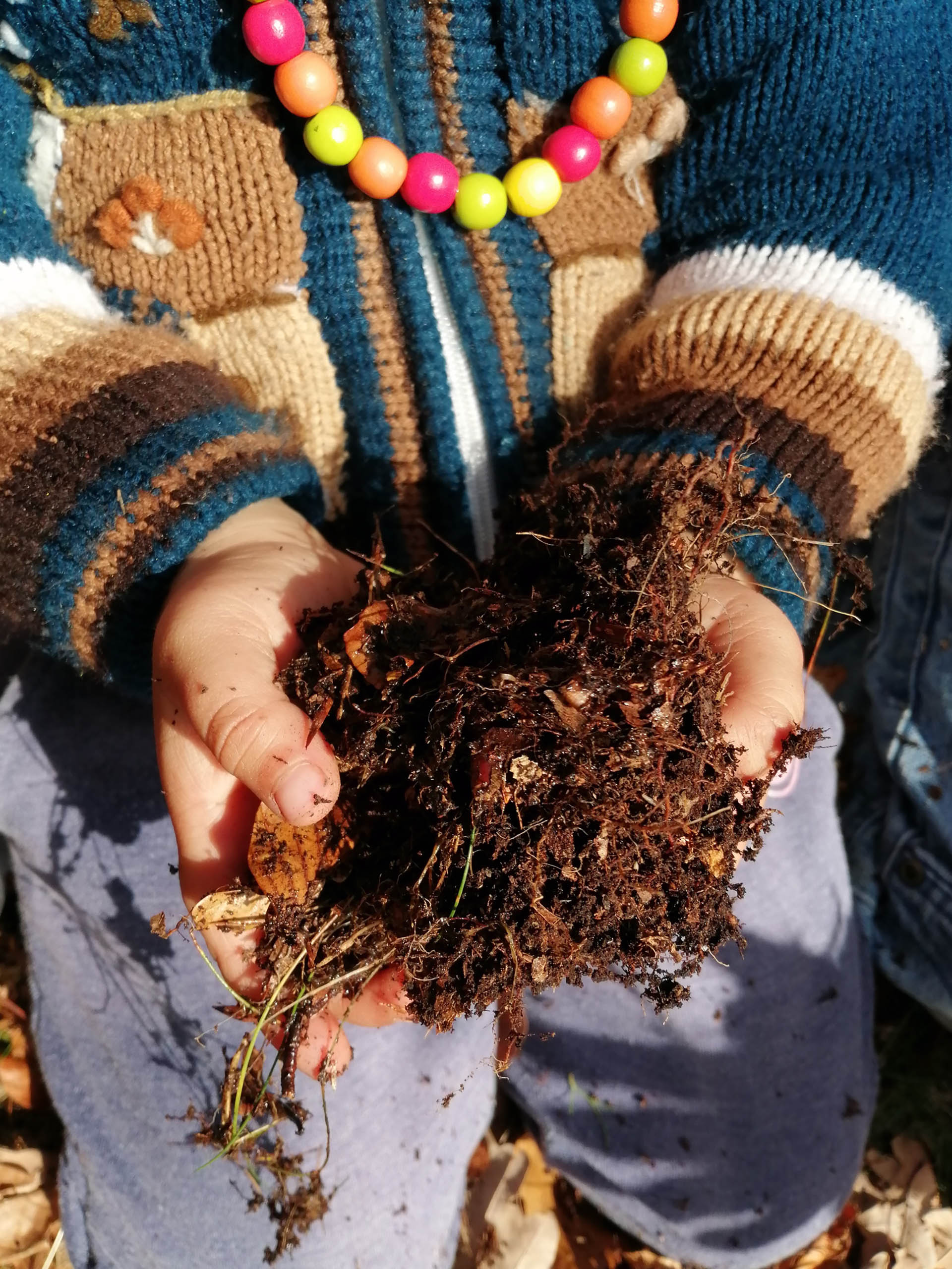 enfant seva humus