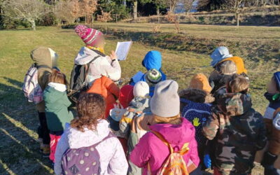 Des nouvelles des fourmis !