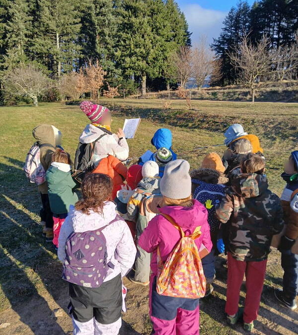 Des nouvelles des fourmis !